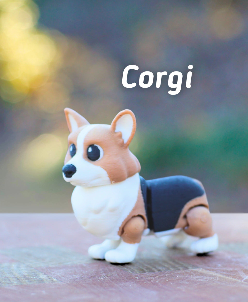 Corgi