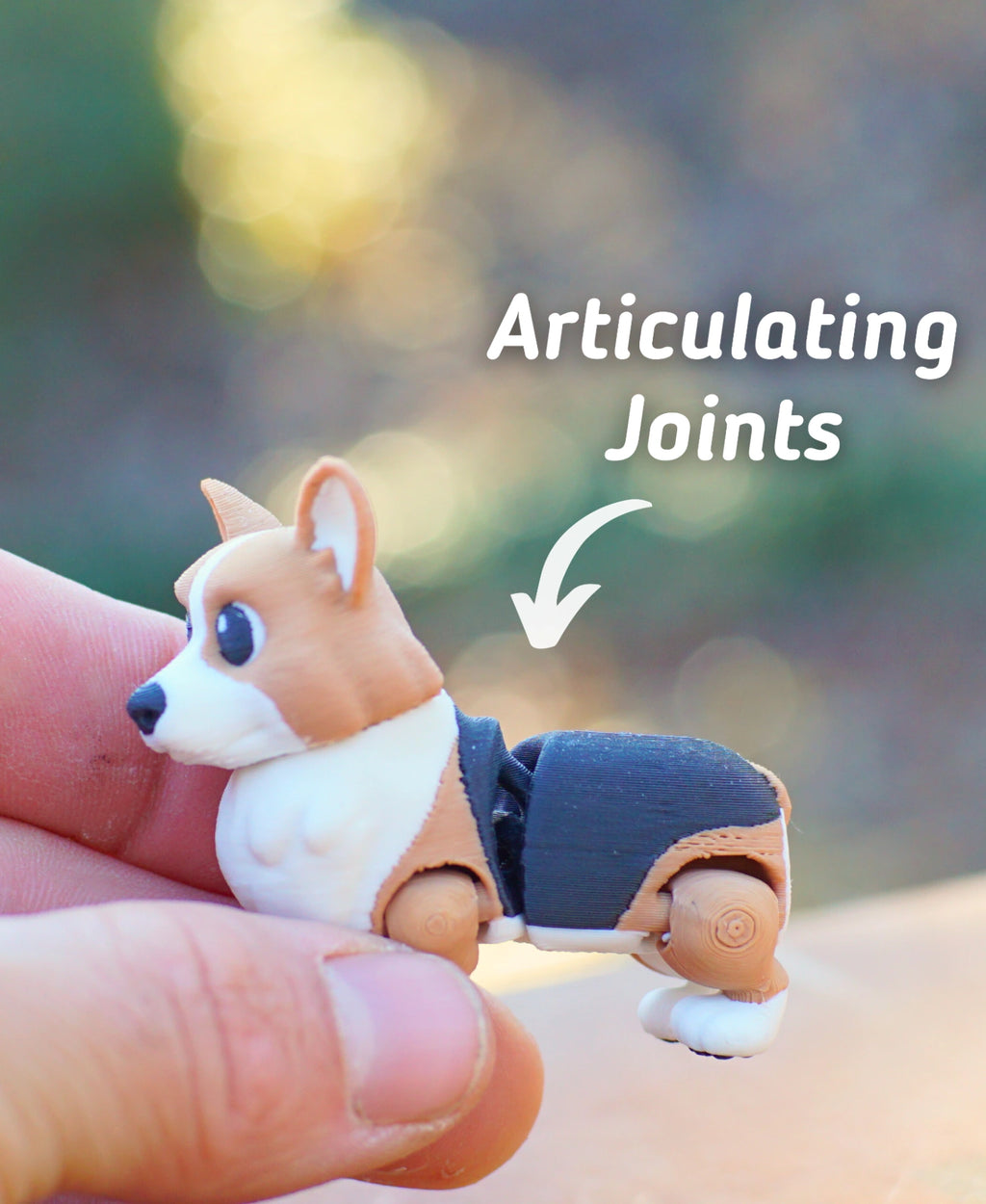 Corgi