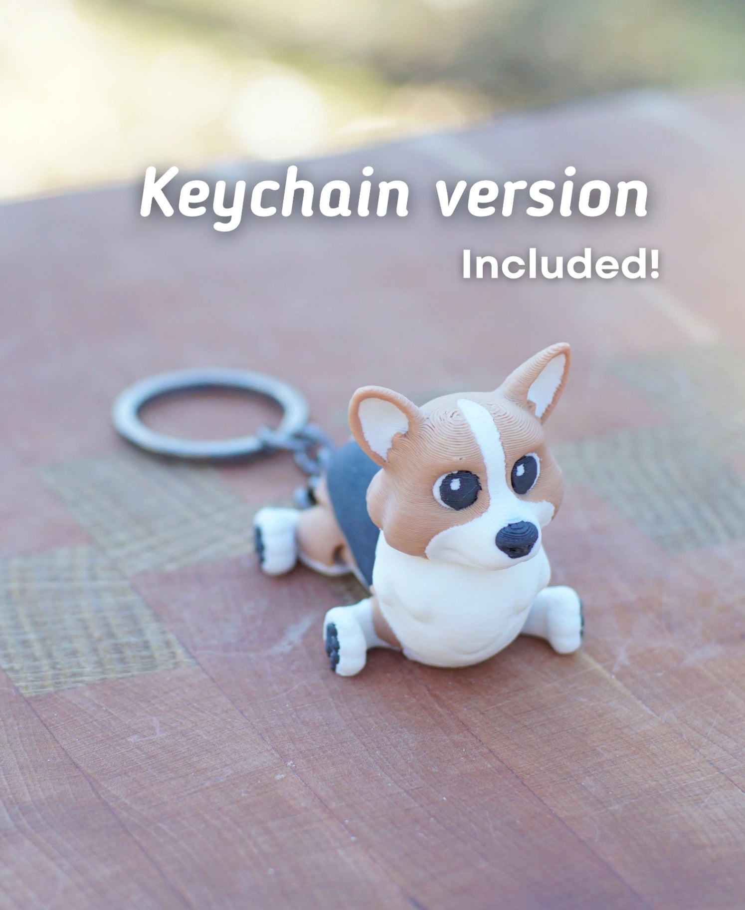Corgi
