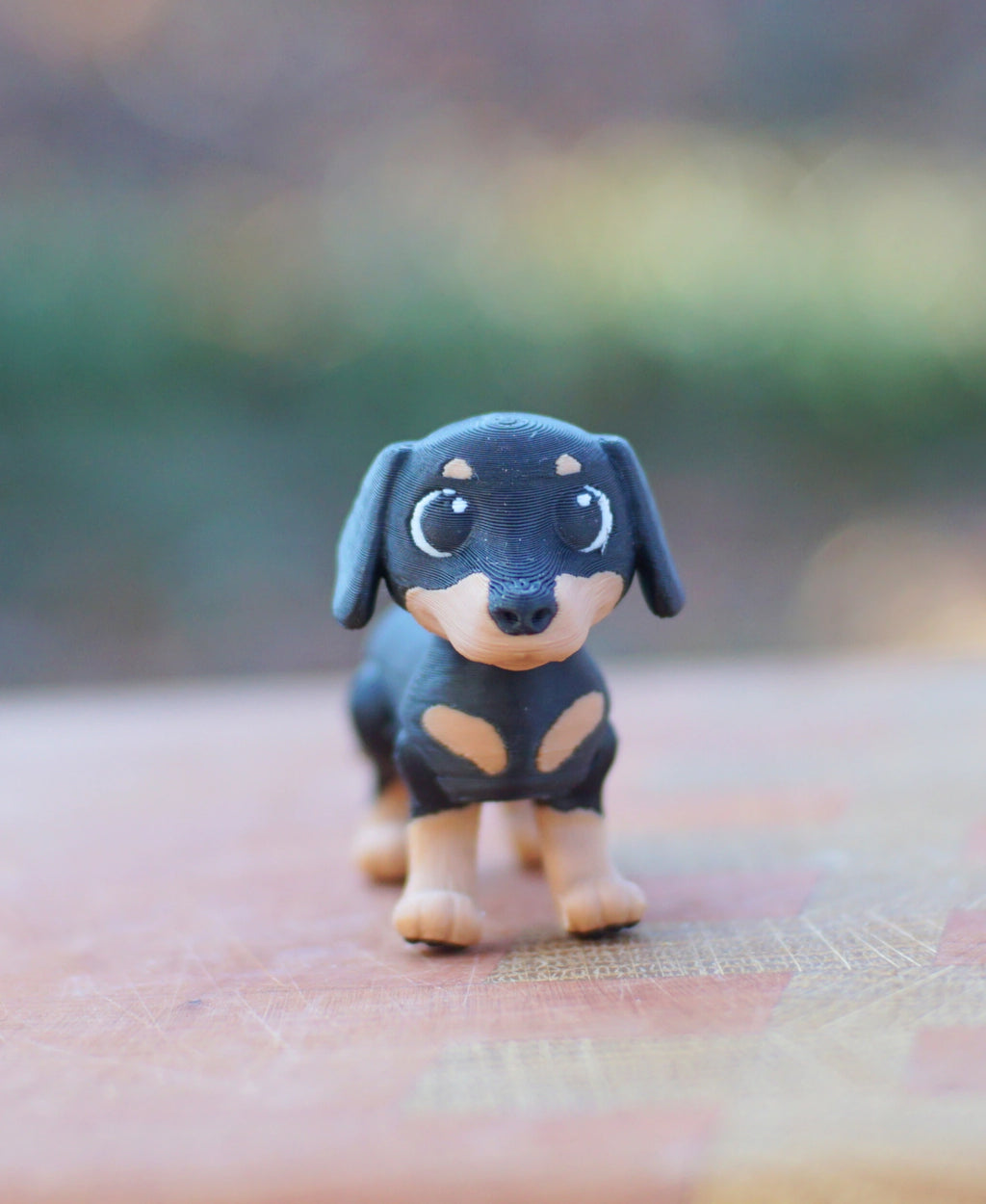 Dachshund