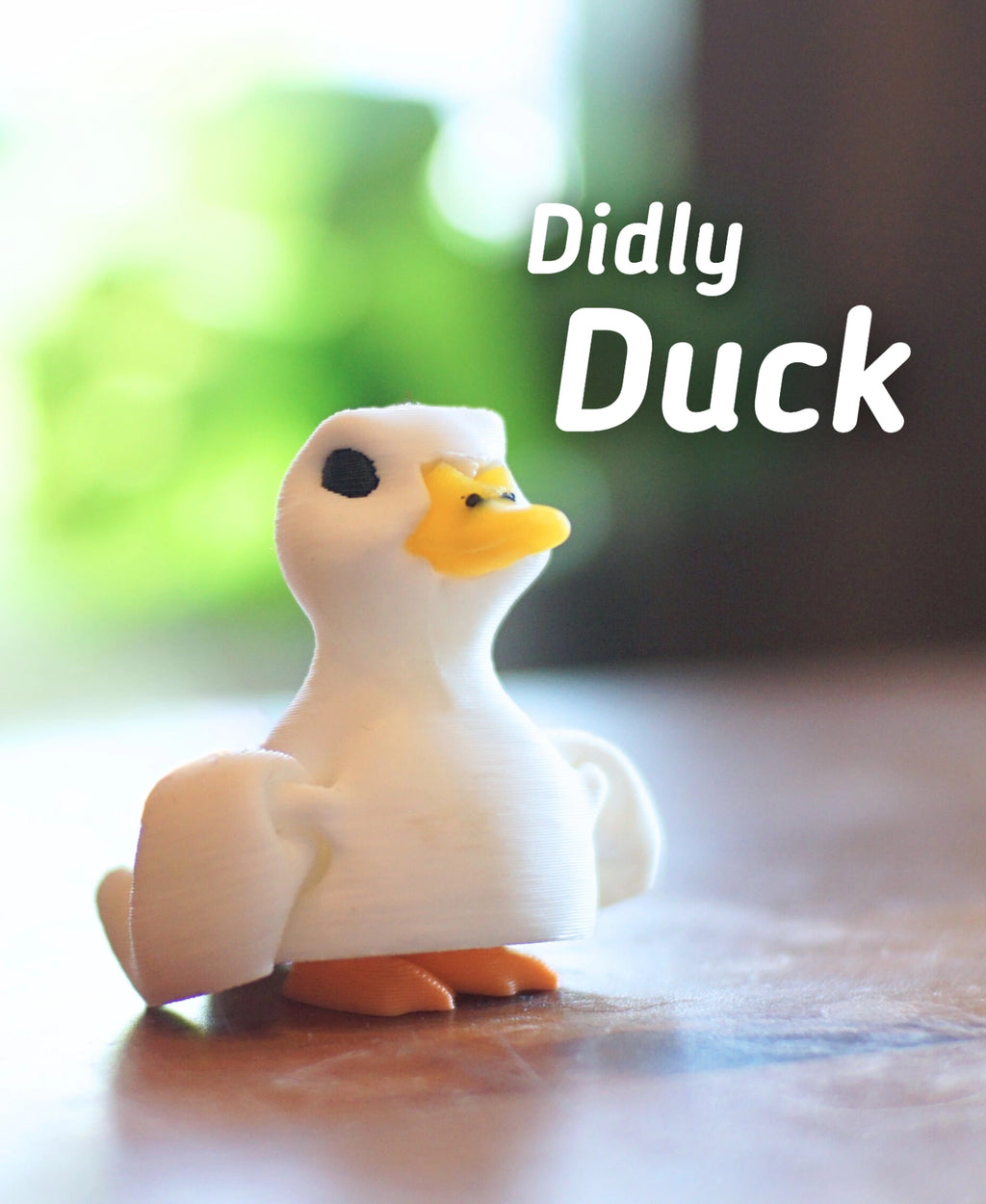 Didly Ördek