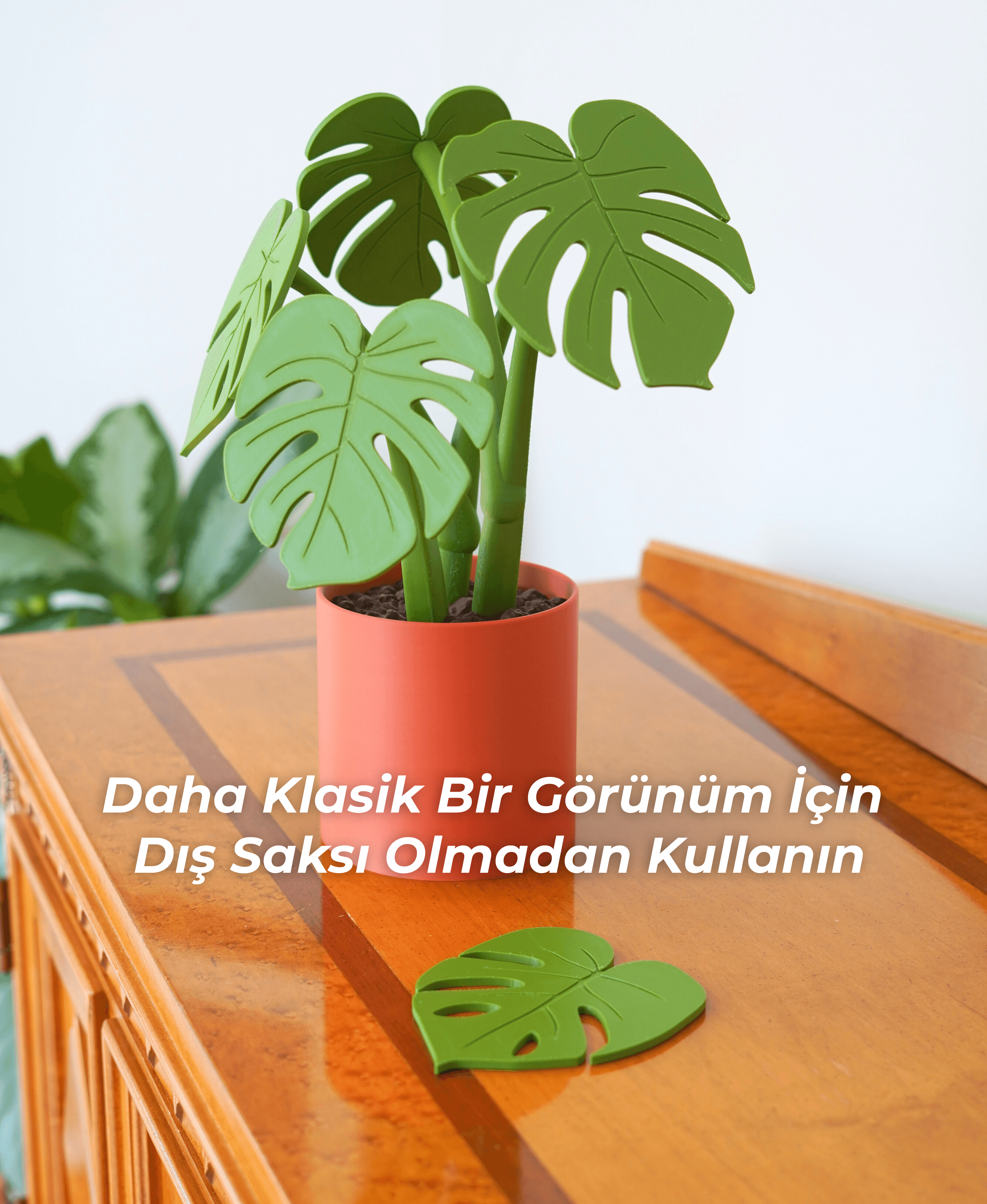 Monstera Kolçak ve Altlık Seti