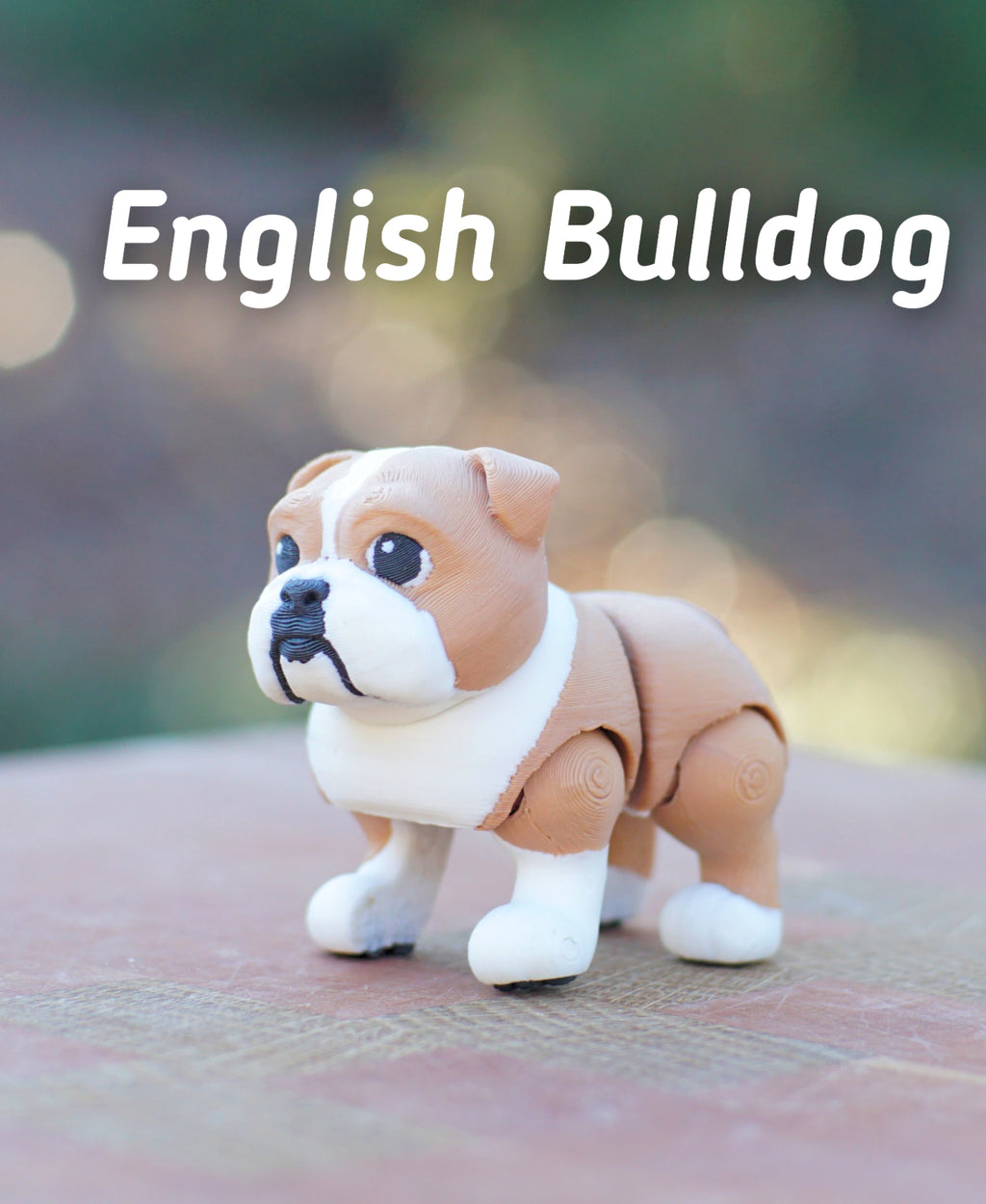 İngiliz Bulldog