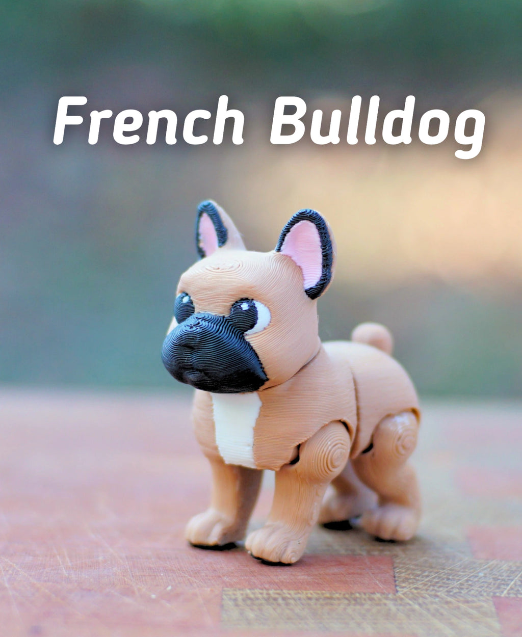 Fransız Bulldog