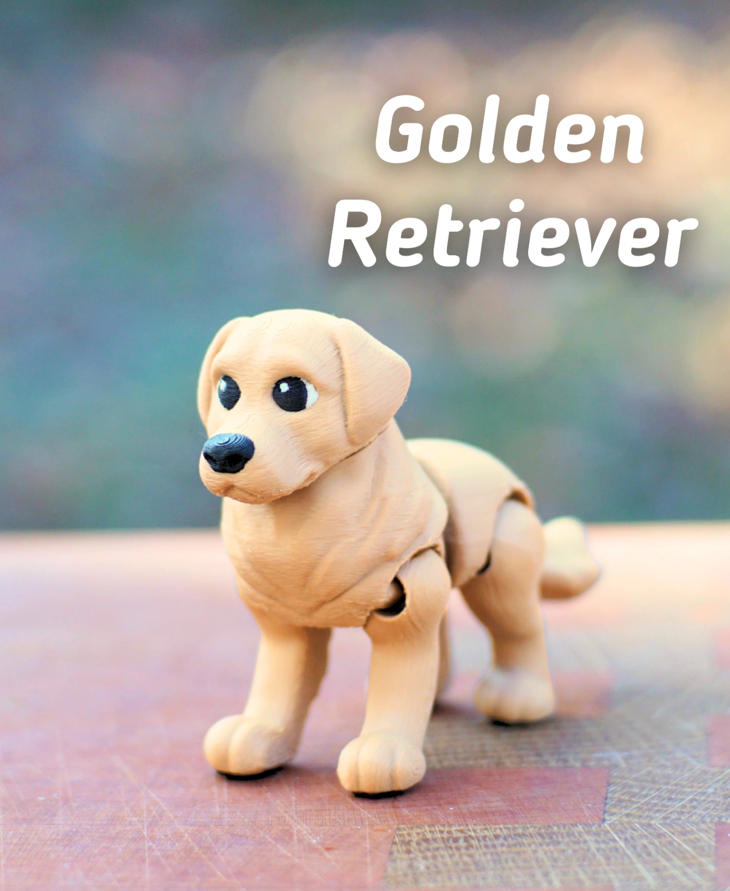 Golden Retriever