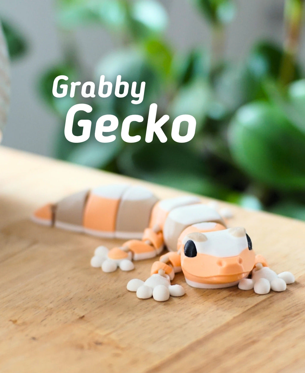 Kapıcı Geko