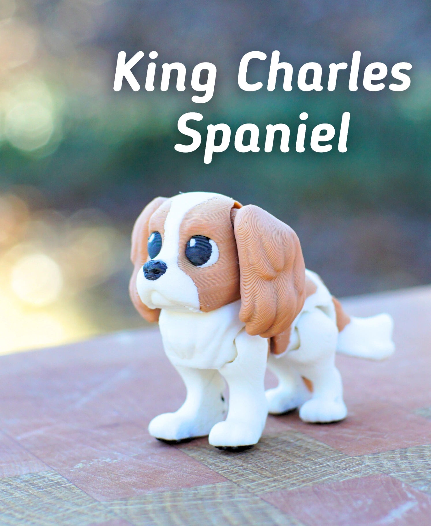 King Charles Spaniel