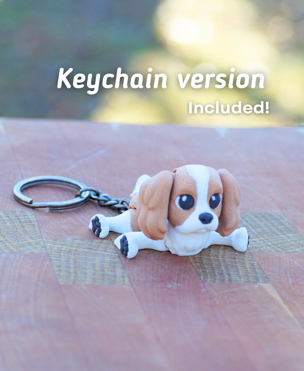 King Charles Spaniel