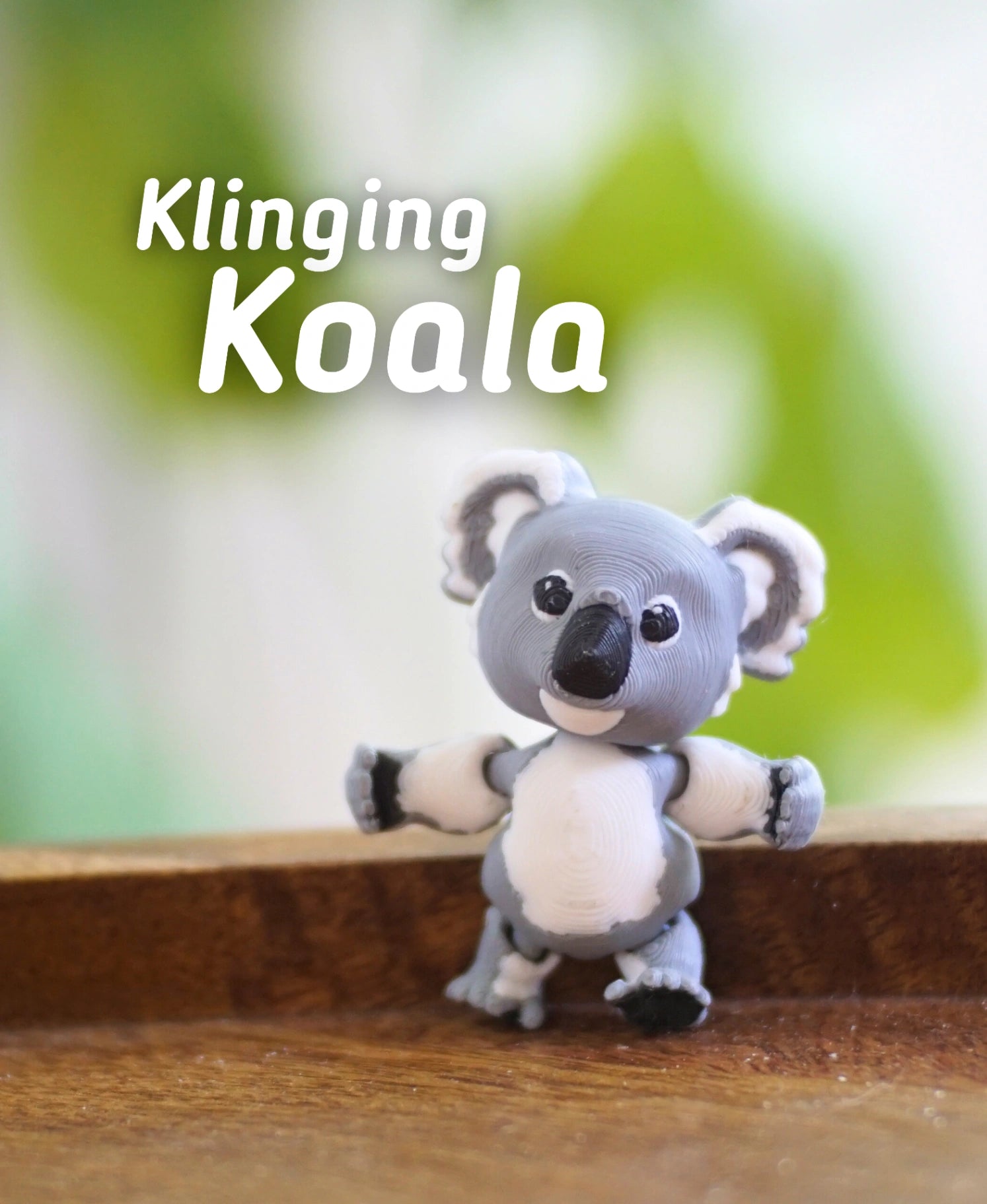 Sıkıca Tutunan Koala