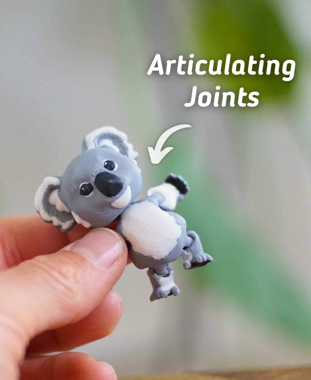 Sıkıca Tutunan Koala