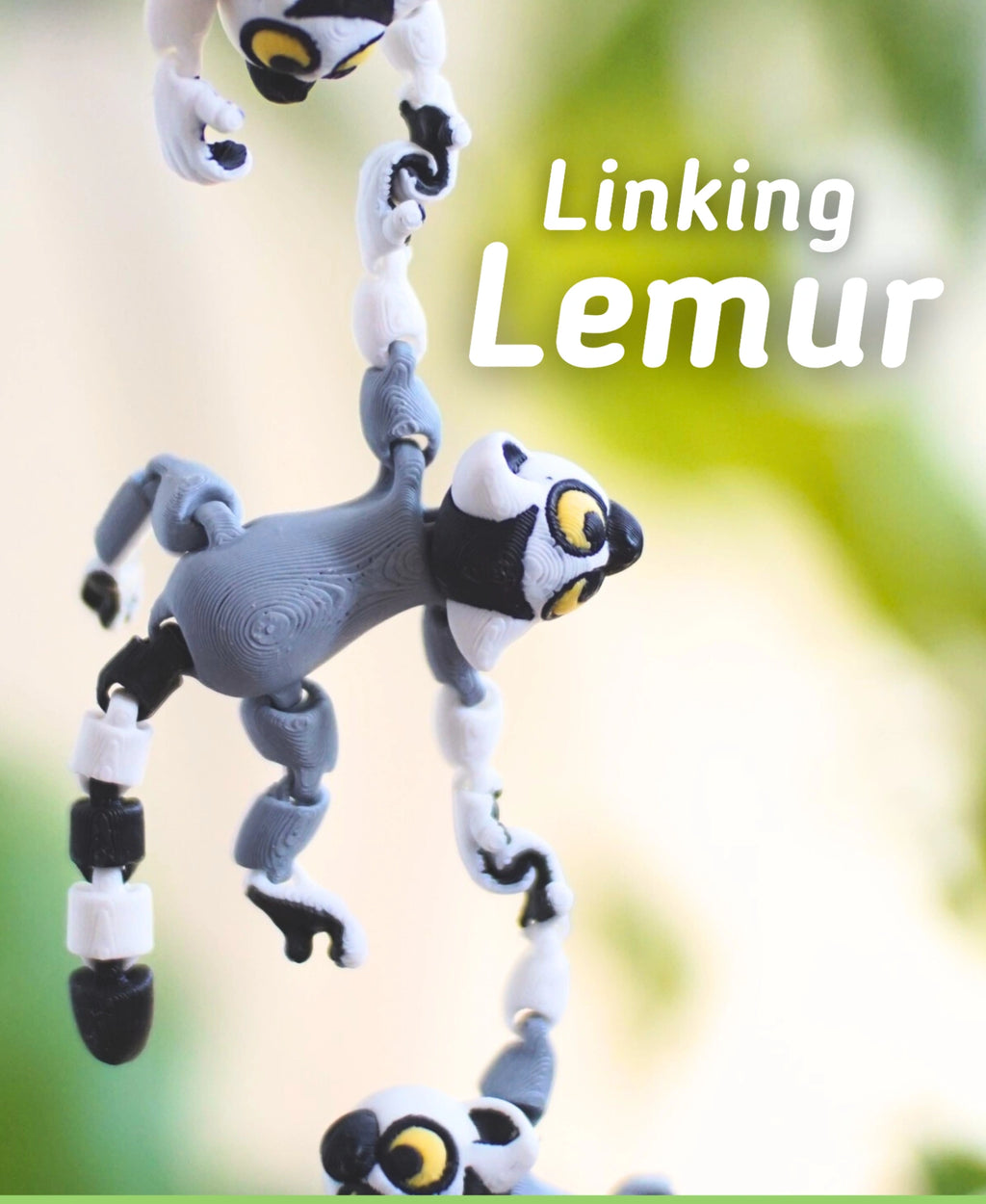 Bağlanan Lemur