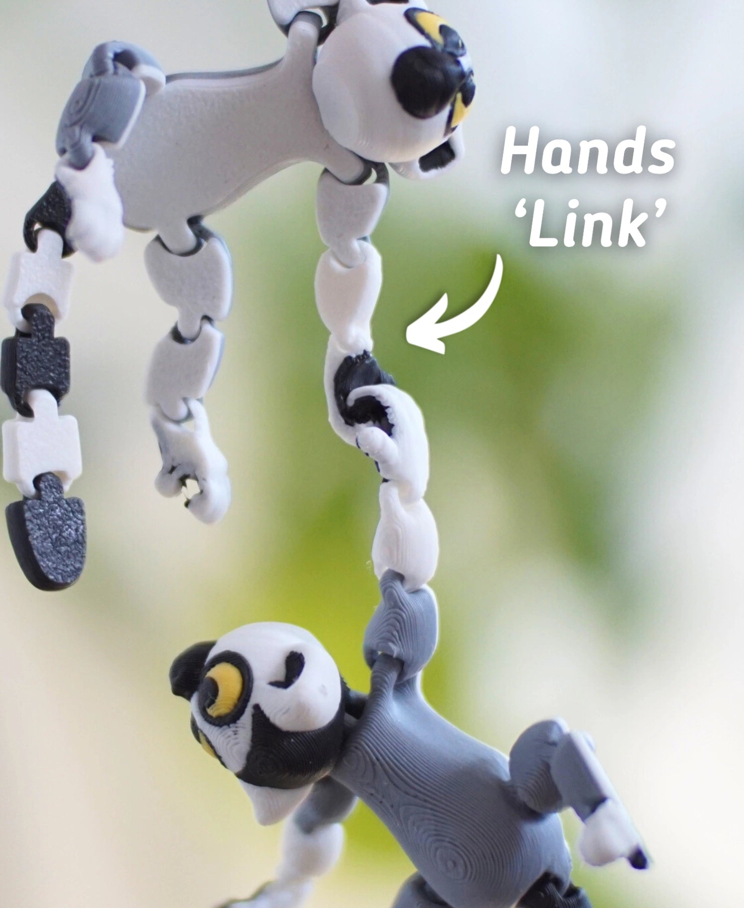 Bağlanan Lemur