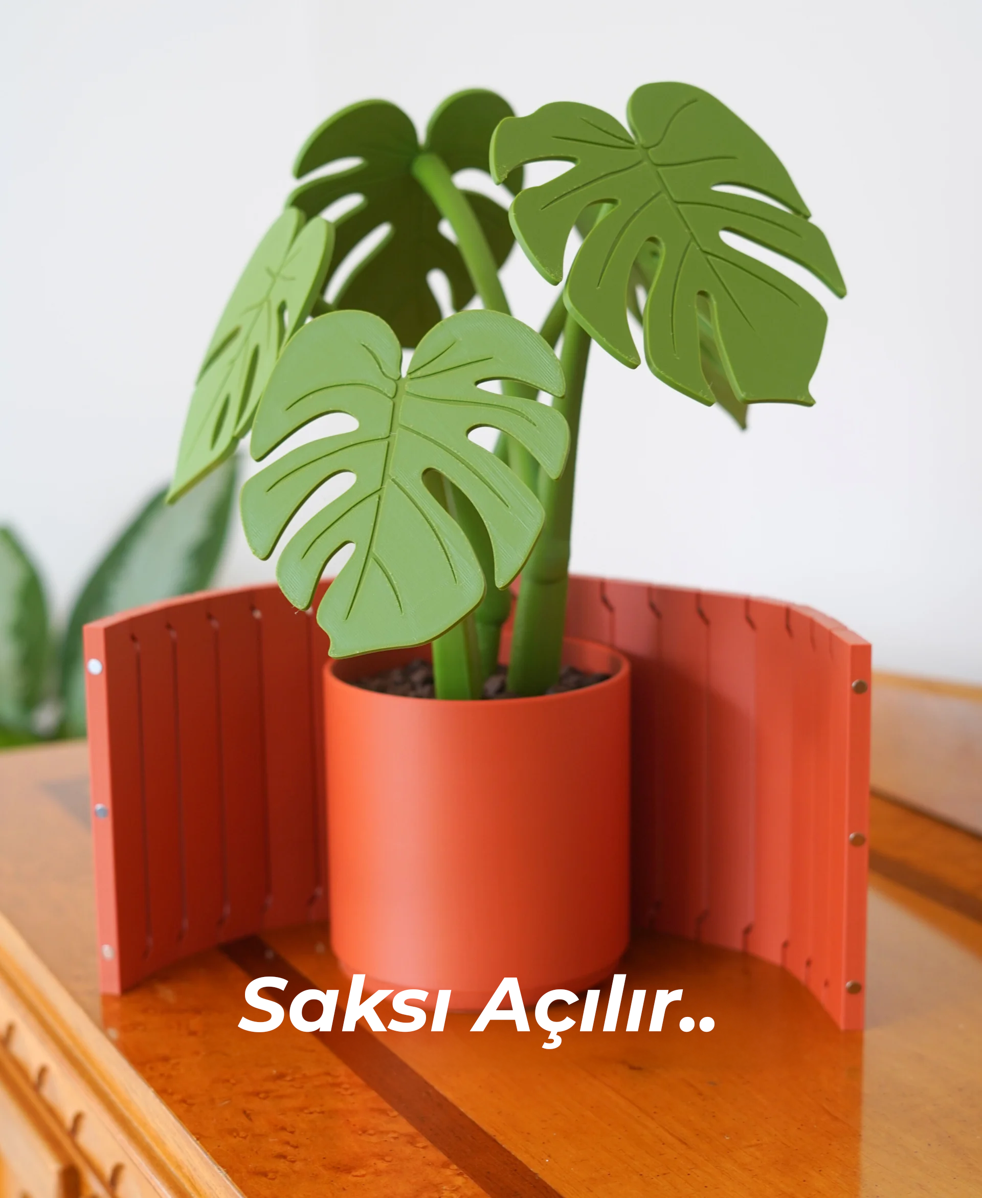 Monstera Kolçak ve Altlık Seti