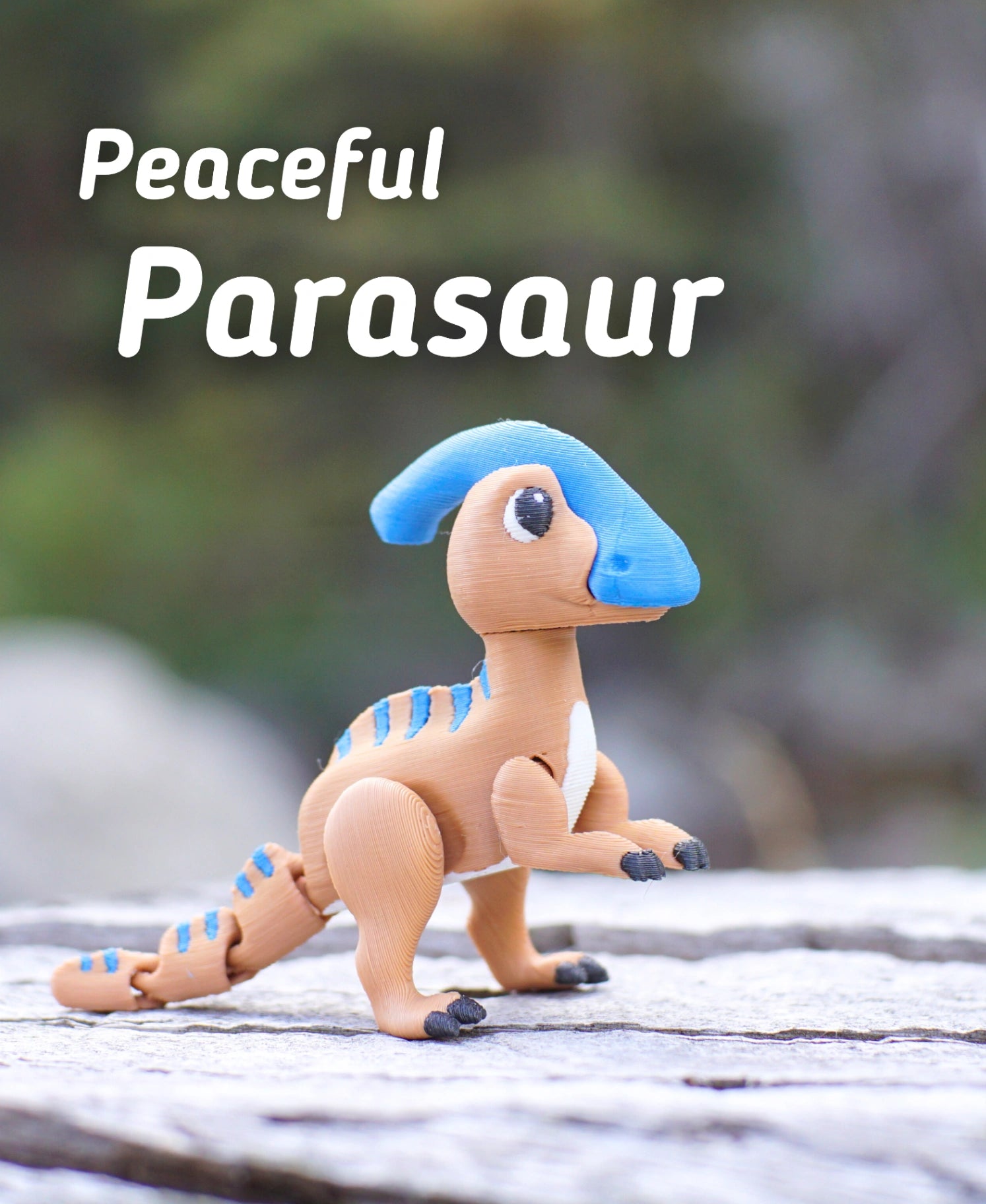 Huzurlu Parazor