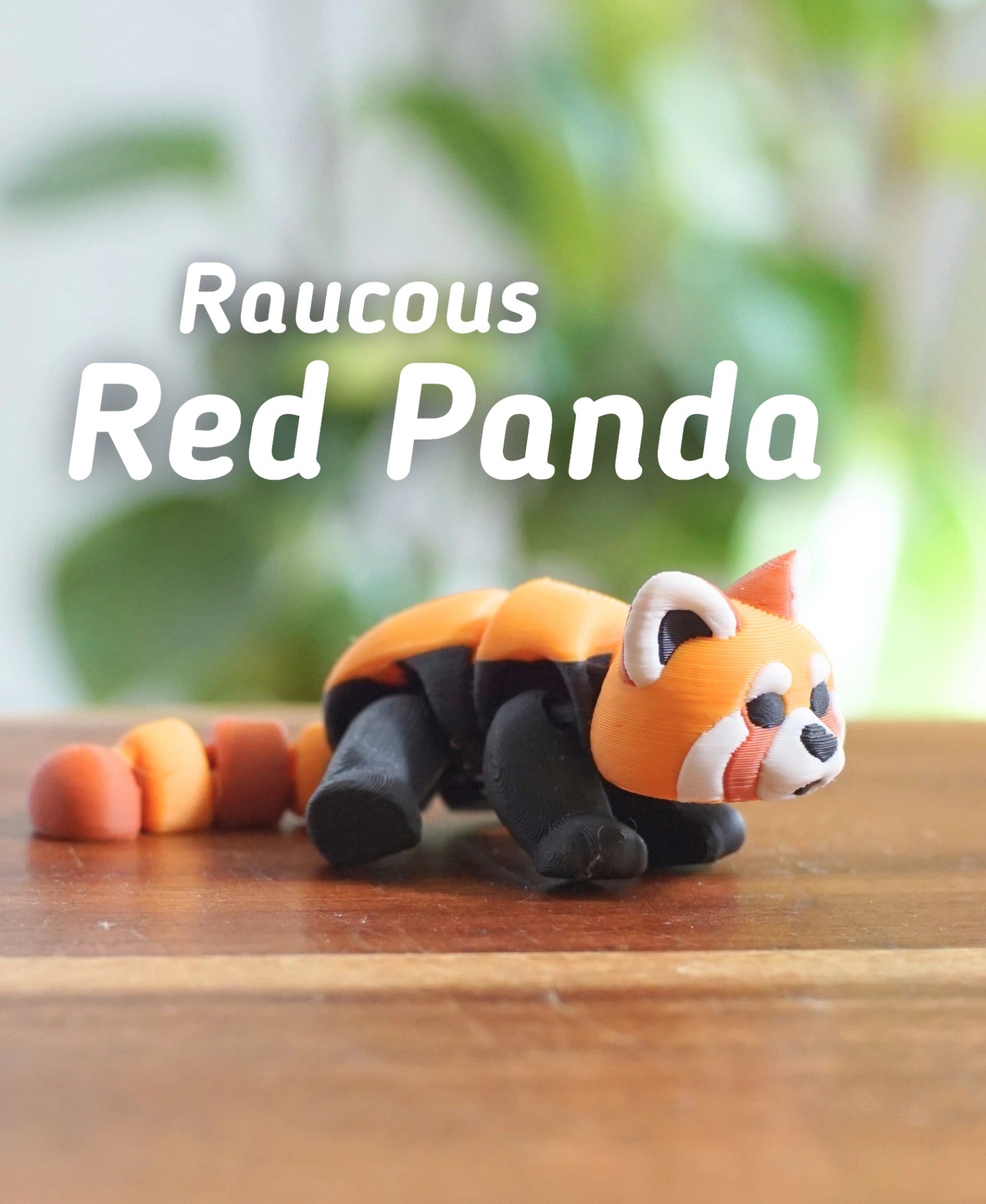Gürültücü Kızıl Panda