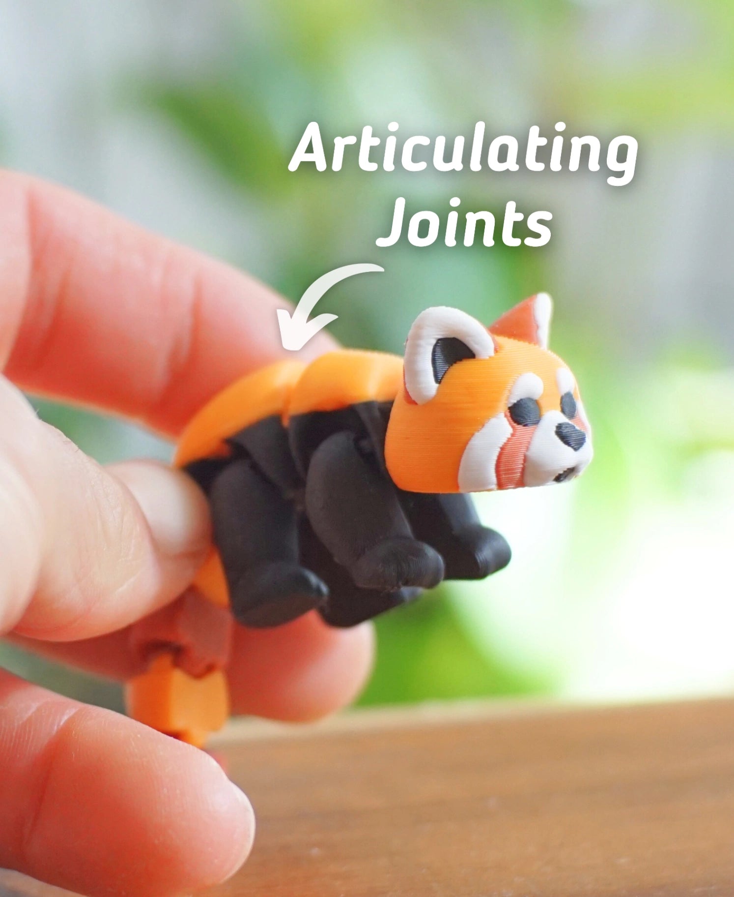 Gürültücü Kızıl Panda