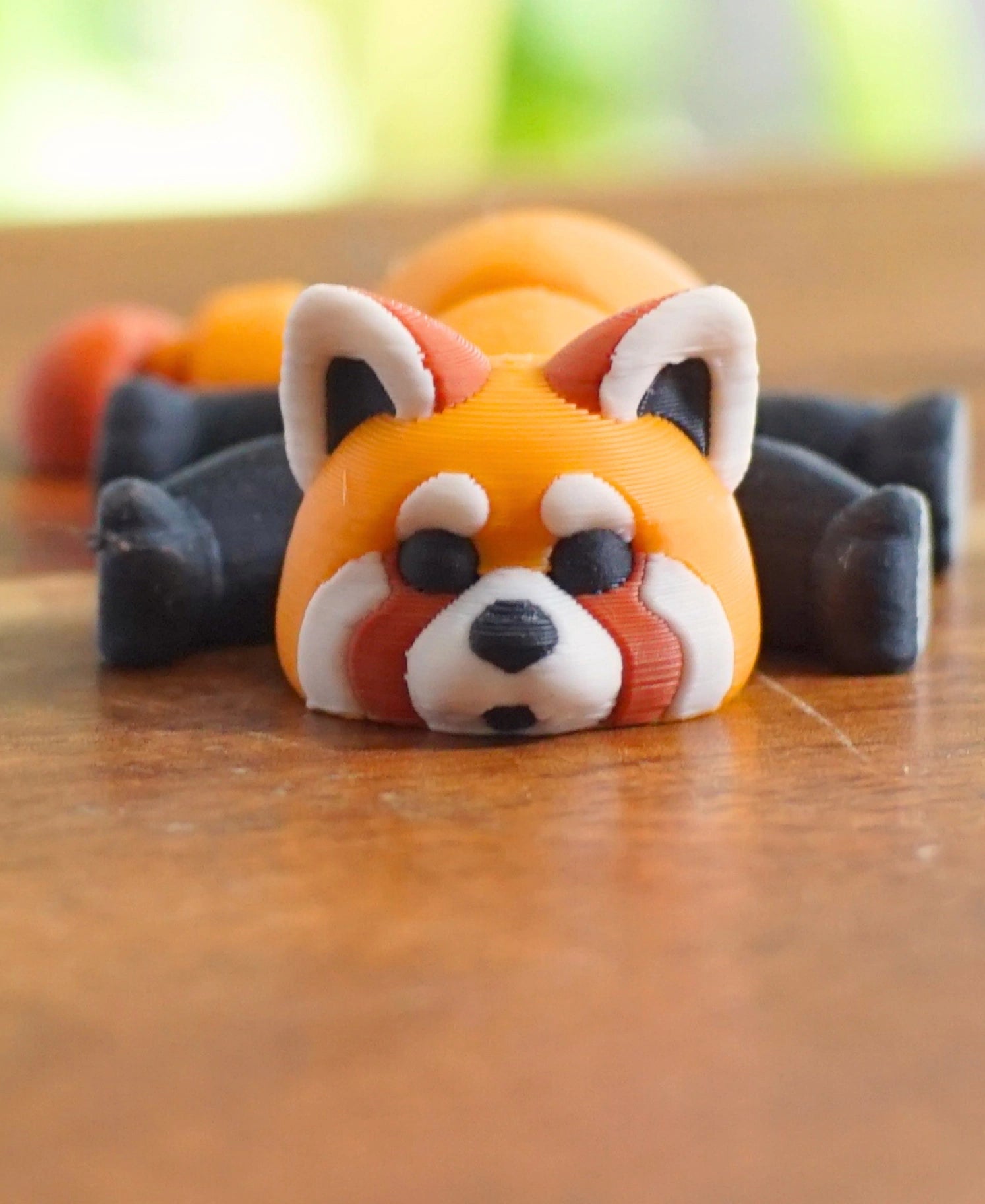 Gürültücü Kızıl Panda