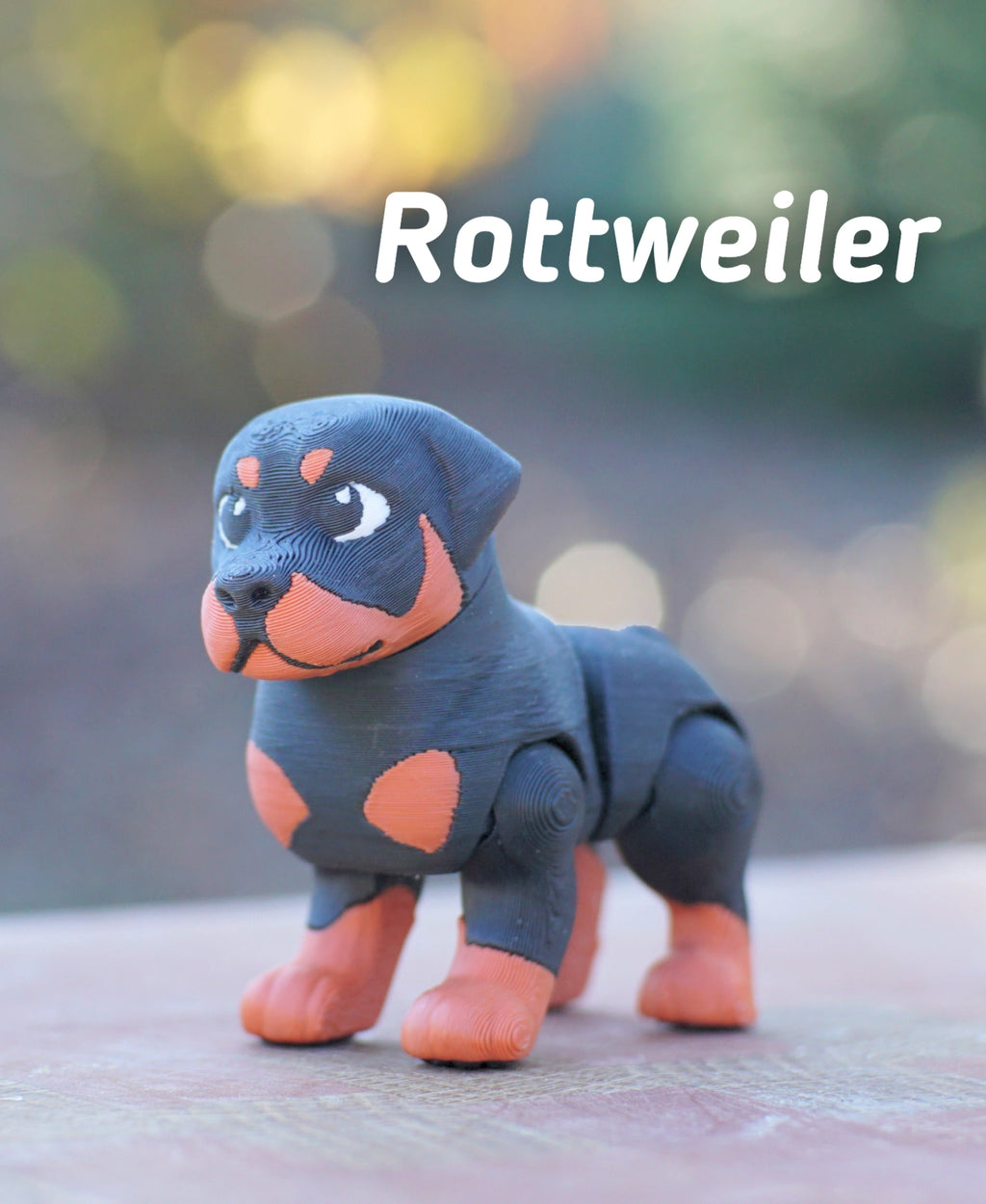 Rottweiler