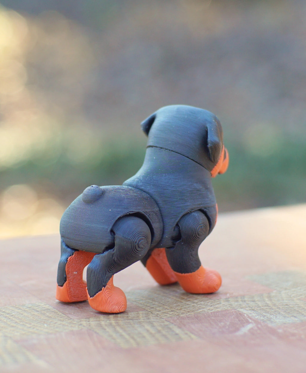 Rottweiler