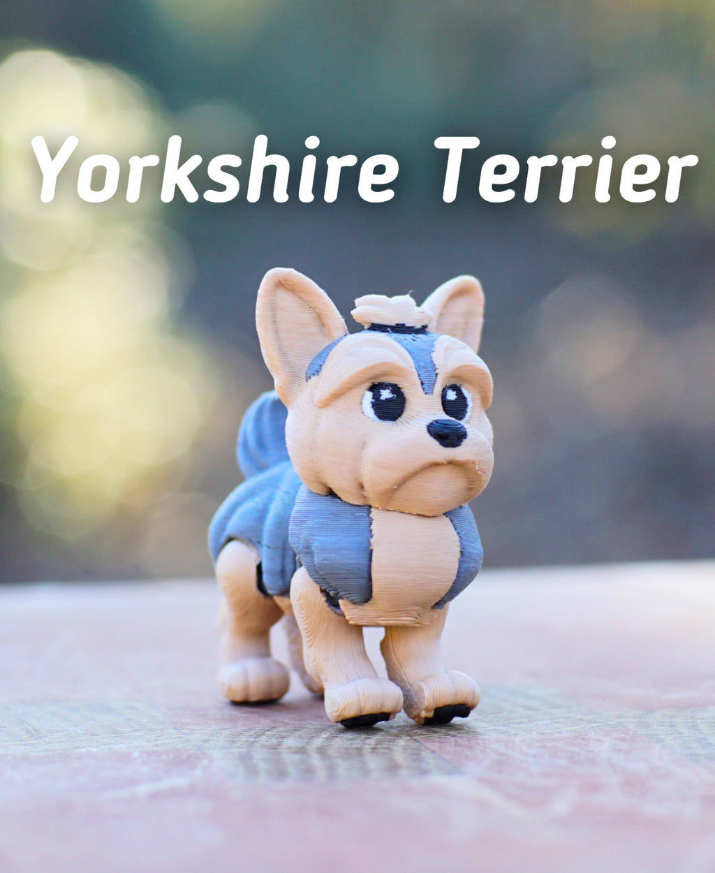 Yorkshire Teriyeri