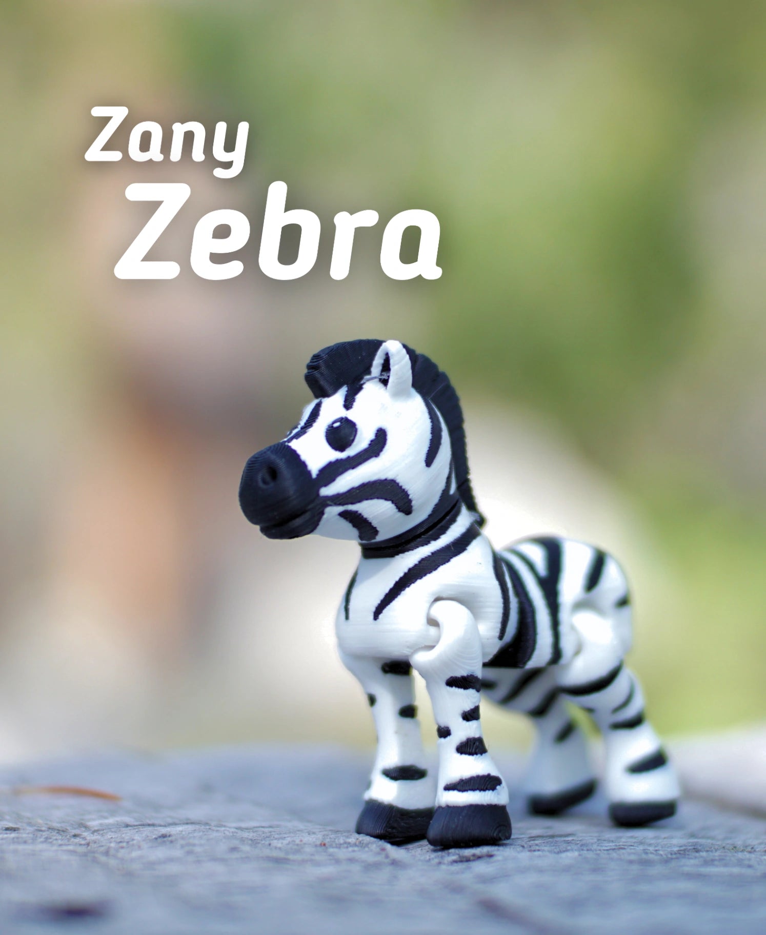 Kaçık Zebra