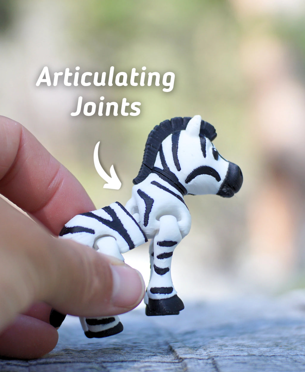 Kaçık Zebra