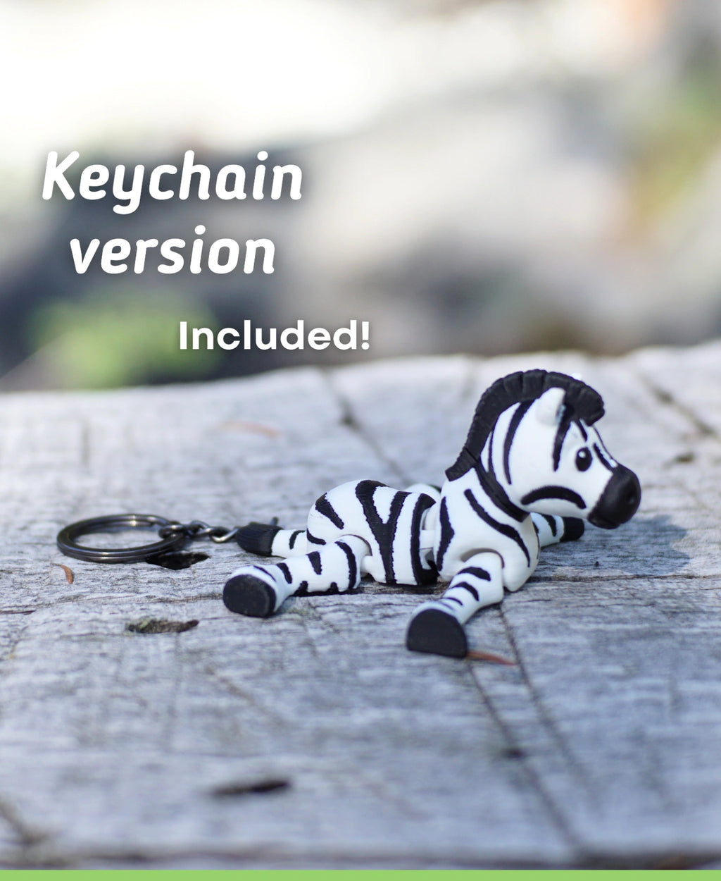 Kaçık Zebra