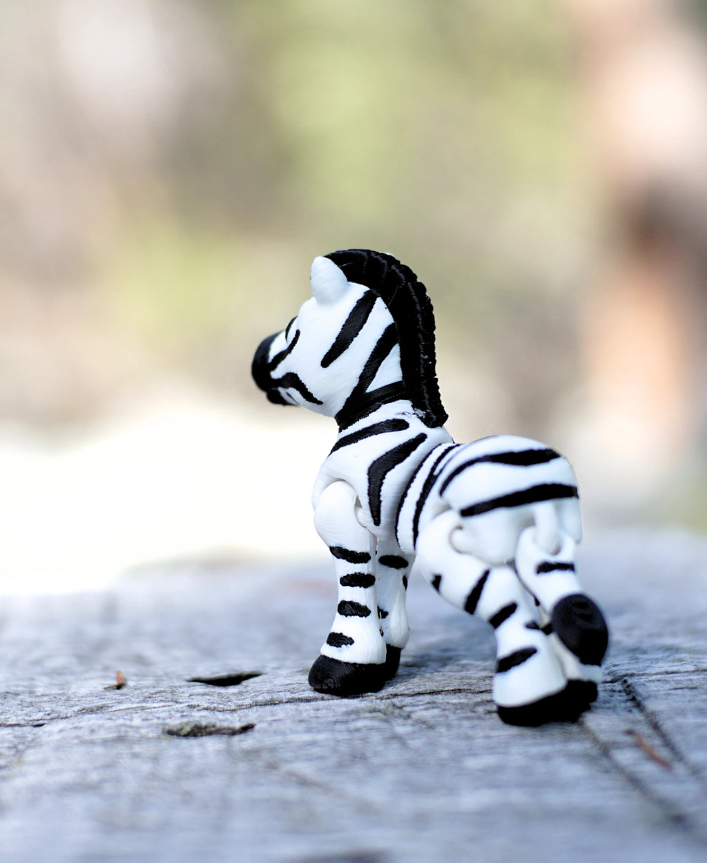 Kaçık Zebra
