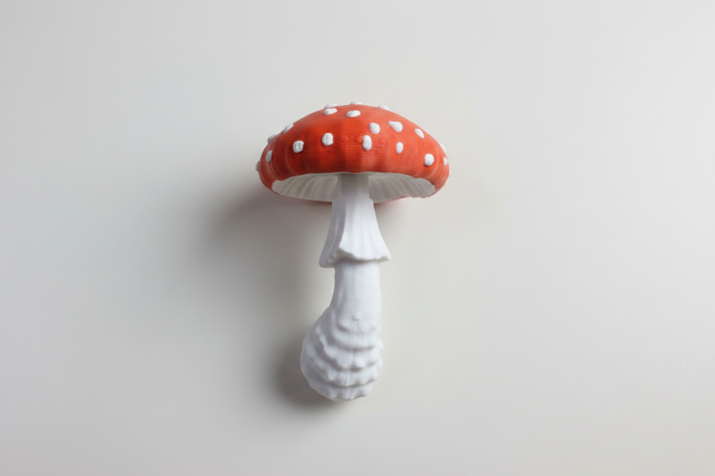 Amanita Tasarım Çekmece Kulpları