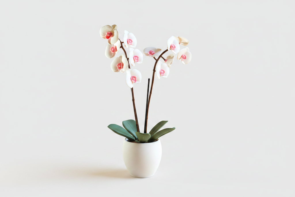 Aromatik Orkide