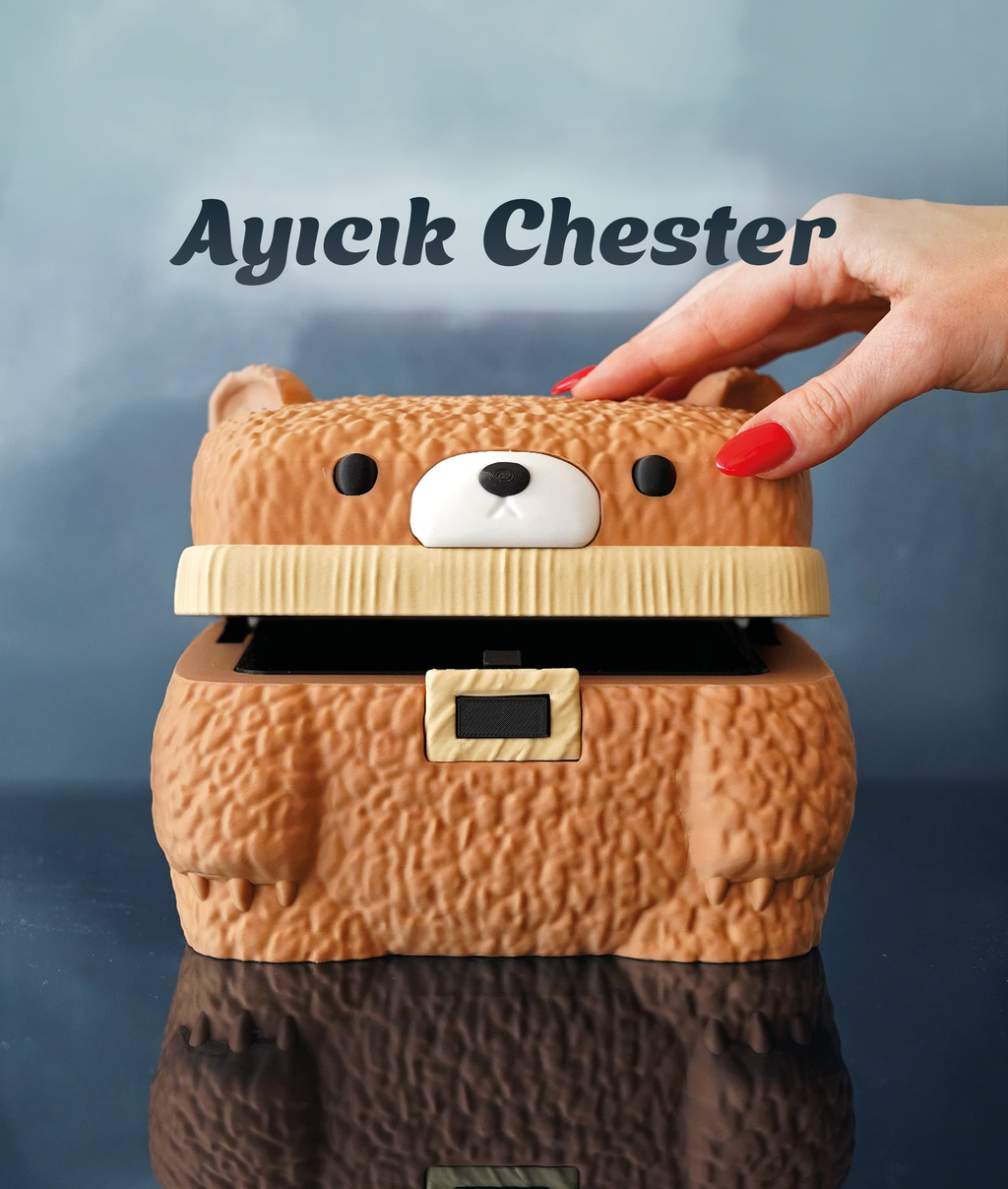 Ayıcık Chester