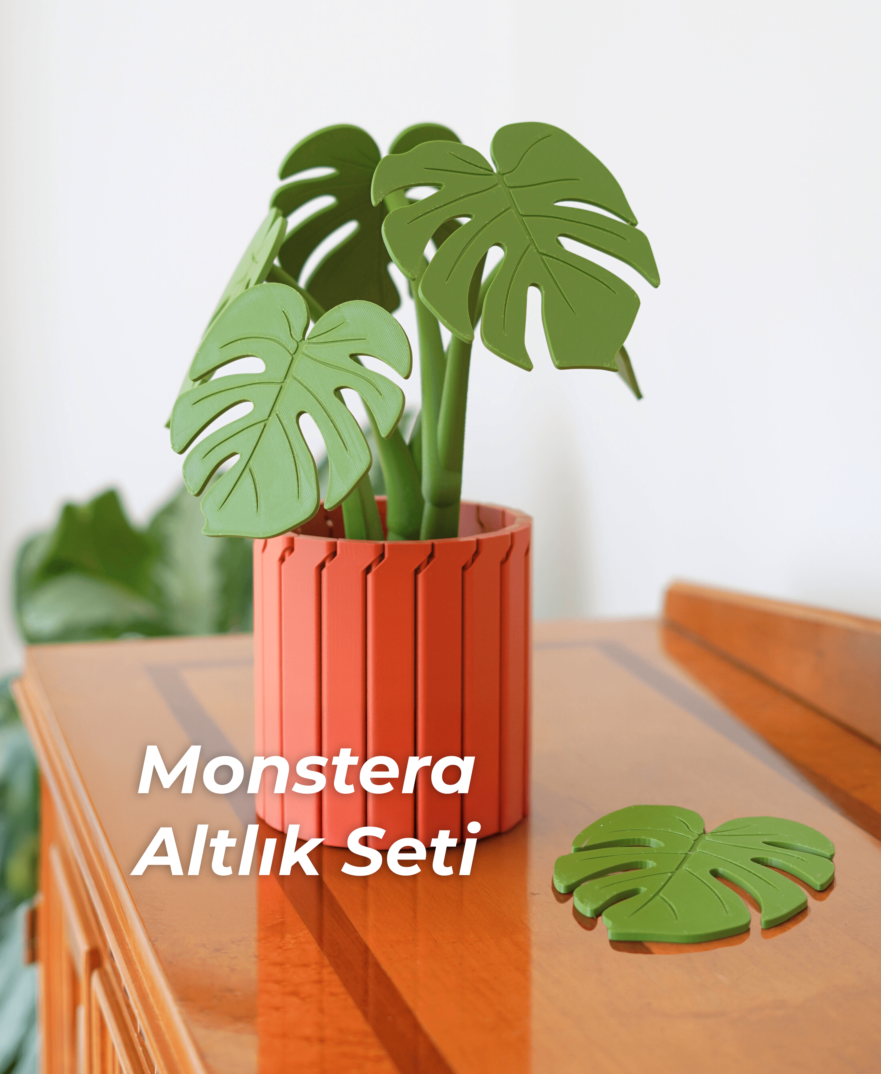 Monstera Kolçak ve Altlık Seti