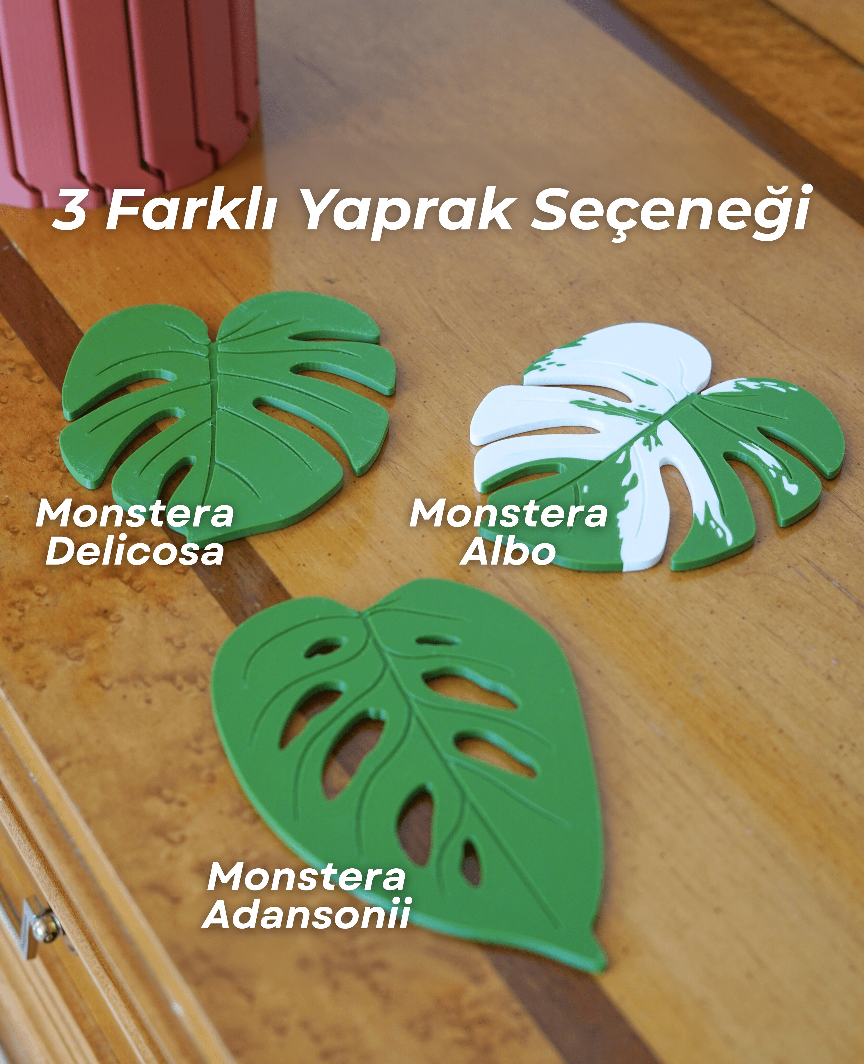 Monstera Altlık Seti