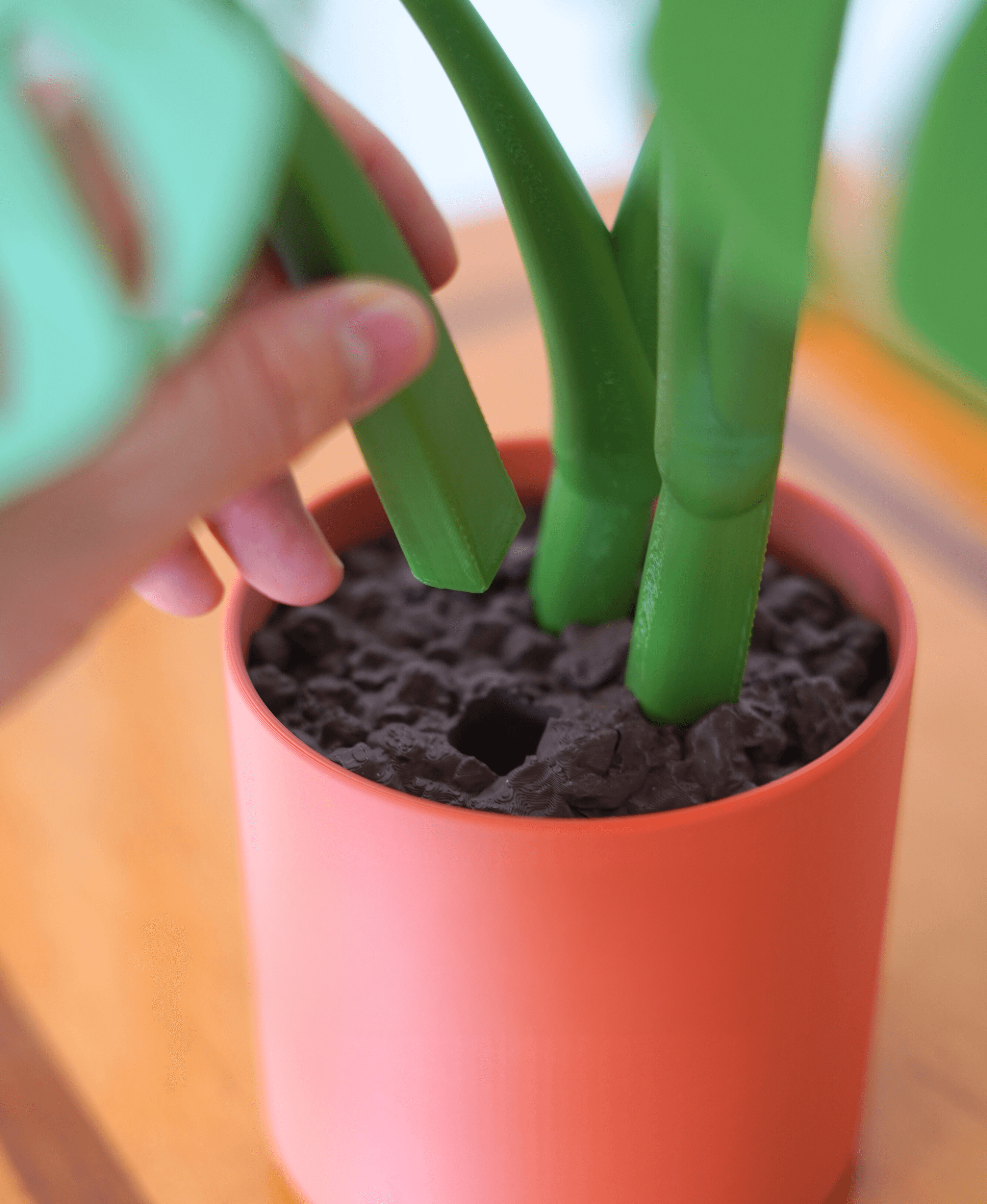 Monstera Kolçak ve Altlık Seti